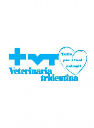 LETTERA "T" NICHELATA PUNTE FINI 7mm