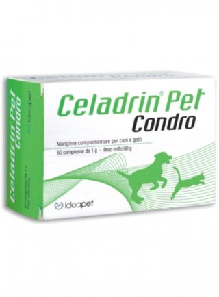 CONDRO PET 60CPR