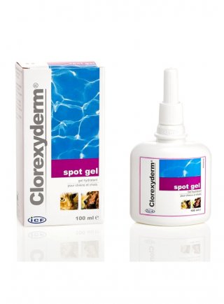 CLOREXYDERM SPOT GEL 100ML