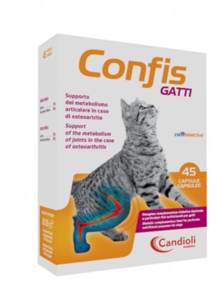 CONFIS GATTI 15cps appetibili