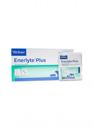 ENERLYTE PLUS – scatola da 24 buste