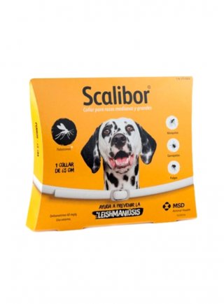SCALIBOR Protector Band Large 65cm
