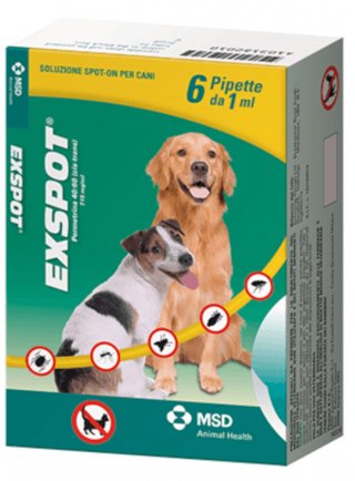 EXSPOT 6 Tubetti 1ml