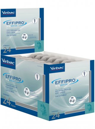 EFFIPRO GATTO 24pip