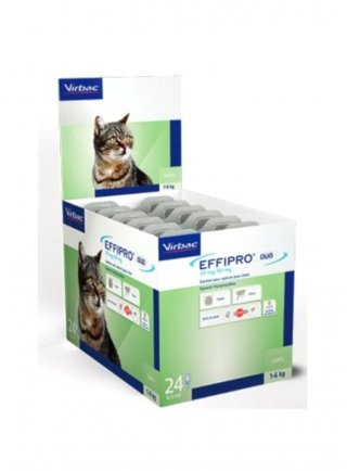 EFFIPRO DUO GATTO 0,5ml 24pip