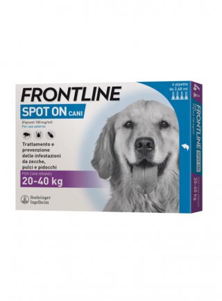 FRONTLINE REGULAR Spot-On Cani Grandi Tg.L 20-40Kg 4pip 2,68 ml - in esaurim. (NEW 30531)