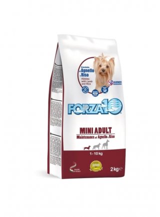 Forza 10 Maintenance agnello e riso S/M 2Kg - cane