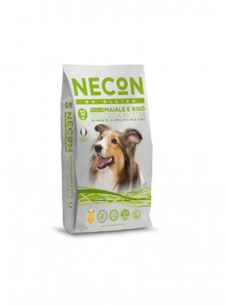 NO GLUTEN MAIALE 12Kg DELIZIOSA RICETTA - cane