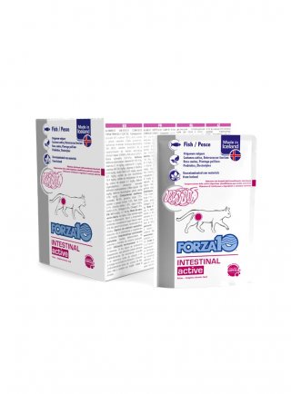 Forza 10 Intestinal Actiwet 12 x 100g in busta - gatto