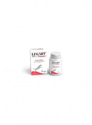 LEGART POWER 20 cpr