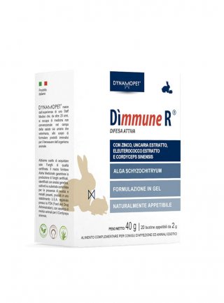 DYNAMO R - 2 gr