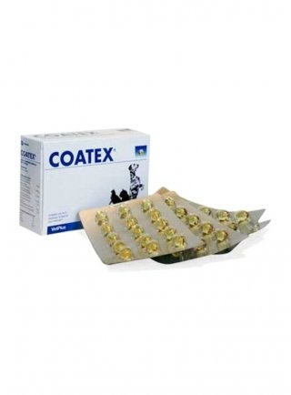 COATEX 60cps
