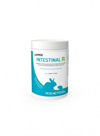 PETMOD INTESTINAL RODITORI barattolo 60g