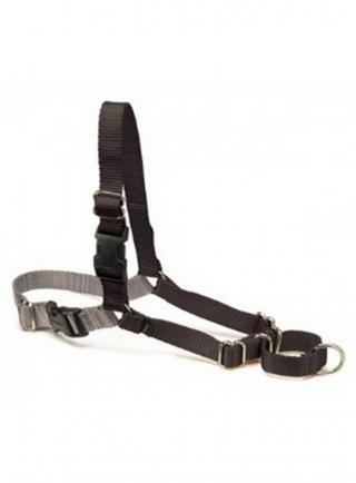 PETTORINA D´ADDESTRAMENTO EASY WALK PROFESSIONAL TG.L-XL