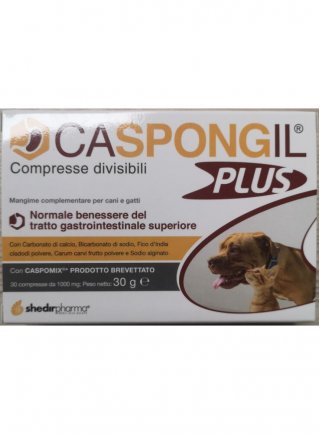 CASPONGIL PLUS 30cpr