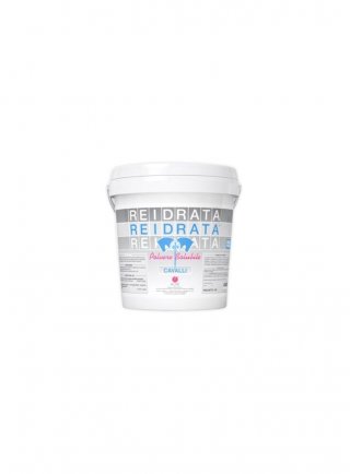 Reidrata Polvere Secchiello da 5 kg