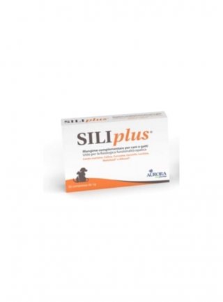 SILIPLUS 30CPR 1g