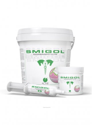 Smigol Pasta 1 siringa da 100 g