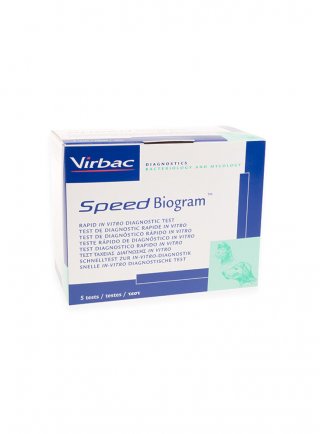 SPEED BIOGRAM 5 test