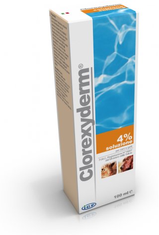 CLOREXYDERM SOLUZIONE 4% 100ML