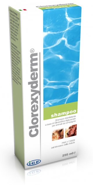 CLOREXYDERM SHAMPOO 250ML