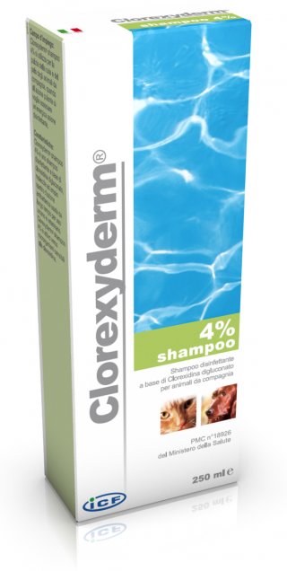 CLOREXYDERM SHAMPOO 4% 250ML