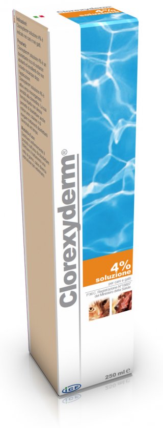 CLOREXYDERM SOLUZ. 4% 200ML